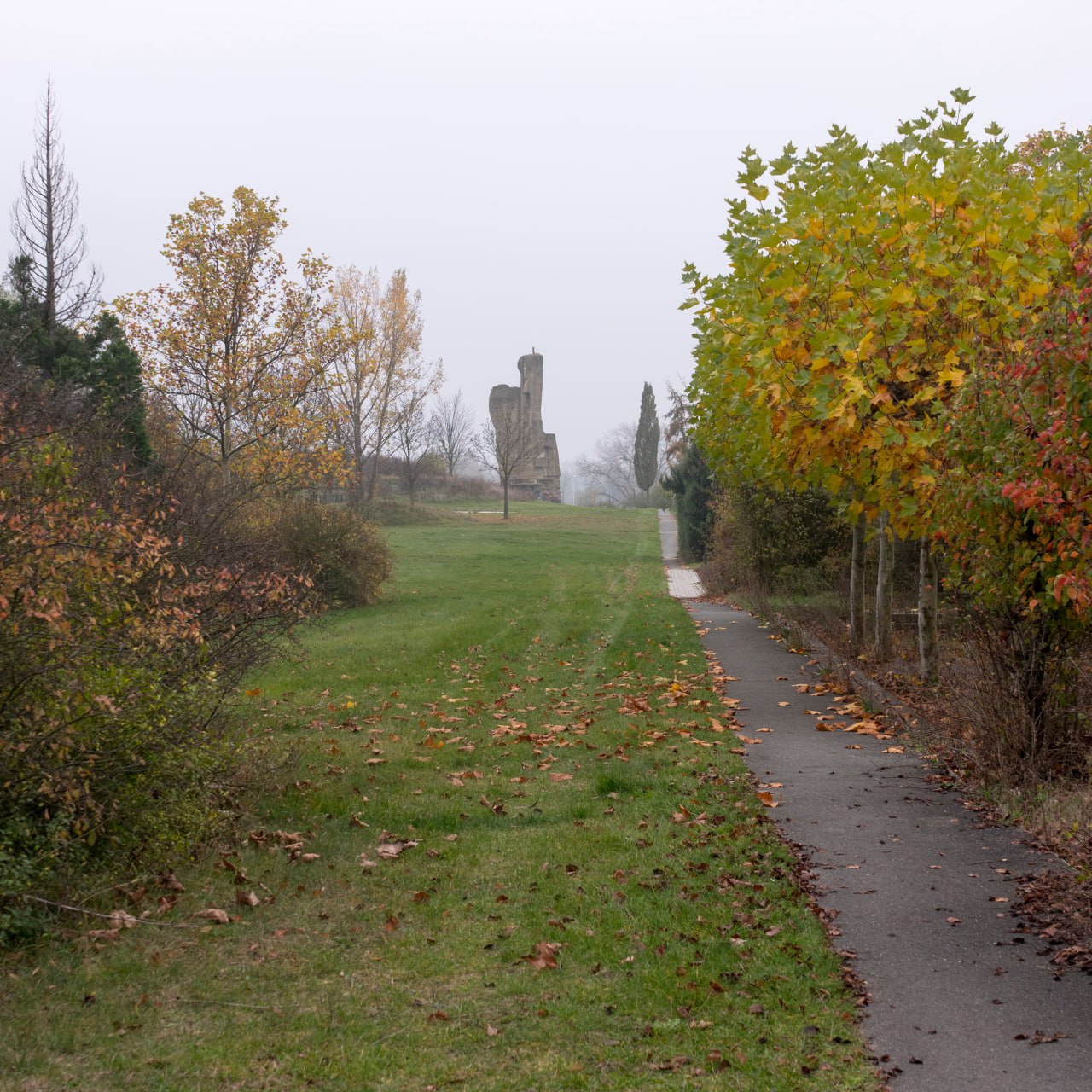 Kletterfelsen am herbstlichen Filmband